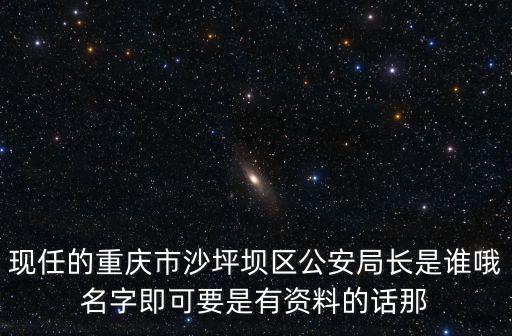 現任的重慶市沙坪壩區公安局長是誰哦名字即可要是有資料的話那