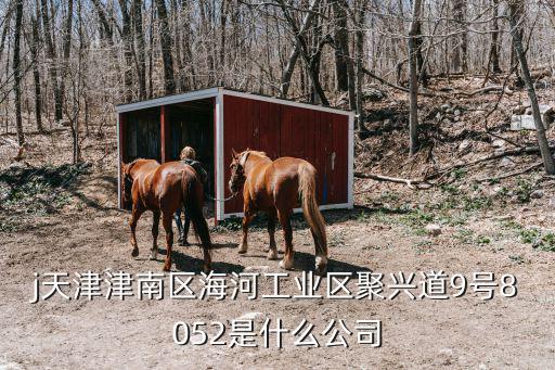 j天津津南區(qū)海河工業(yè)區(qū)聚興道9號(hào)8052是什么公司
