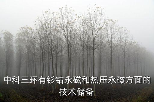 天津市中科三環機電技術有限公司，中科三環有釤鈷永磁和熱壓永磁方面的技術儲備