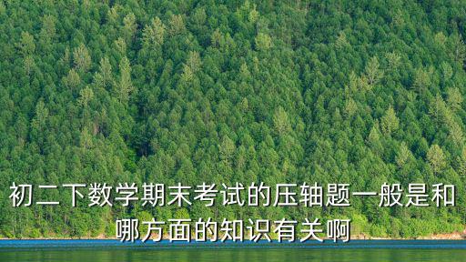 初二下數學期末考試的壓軸題一般是和哪方面的知識有關啊