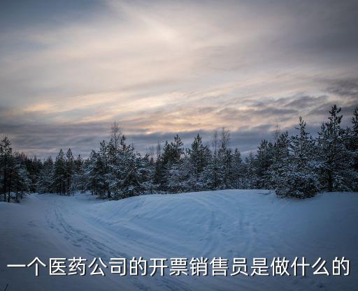 一個醫(yī)藥公司的開票銷售員是做什么的