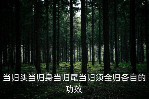 當歸頭當歸身當歸尾當歸須全歸各自的功效