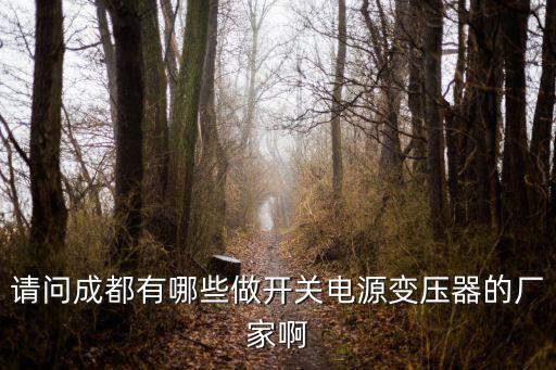 請問成都有哪些做開關電源變壓器的廠家啊