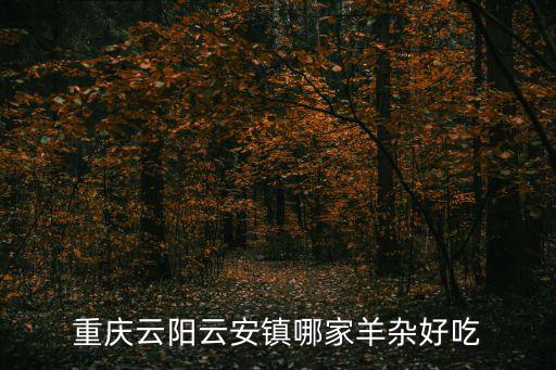 重慶云陽云安鎮哪家羊雜好吃