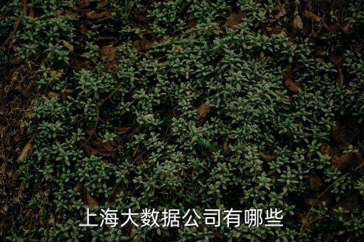 上海大數據集團 證券，上證是哪家股子
