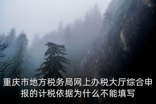 重慶市地方稅務局網上辦稅大廳綜合申報的計稅依據為什么不能填寫