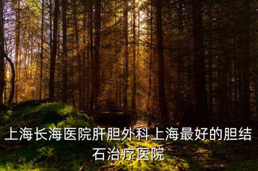 上海長海醫院肝膽外科上海最好的膽結石治療醫院