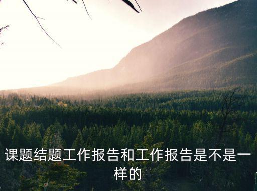 課題工作報告，研究性學習課題報告怎么寫啊