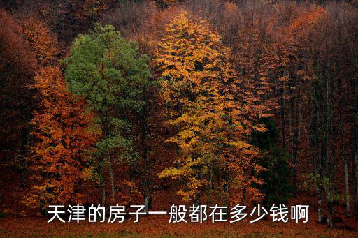 天津的房子一般都在多少錢啊
