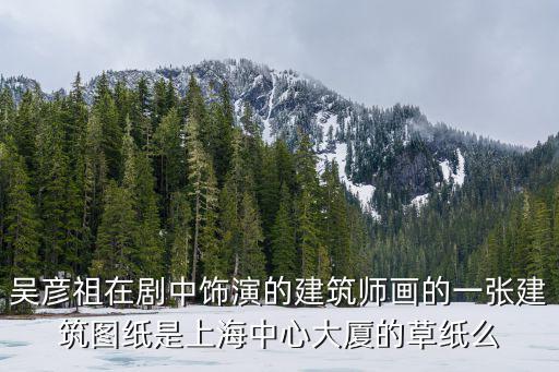 吳彥祖在劇中飾演的建筑師畫的一張建筑圖紙是上海中心大廈的草紙么