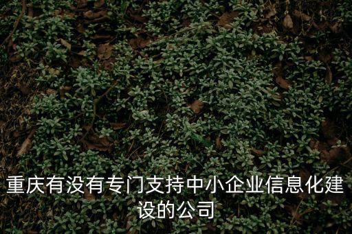 重慶有沒有專門支持中小企業(yè)信息化建設(shè)的公司