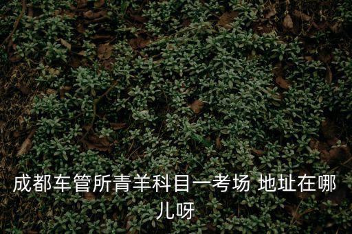成都車管所青羊科目一考場 地址在哪兒呀