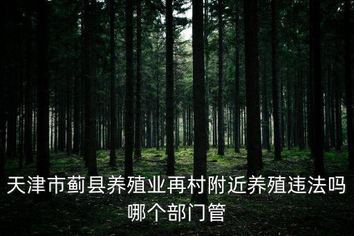 天津市薊縣養(yǎng)殖業(yè)再村附近養(yǎng)殖違法嗎哪個(gè)部門管