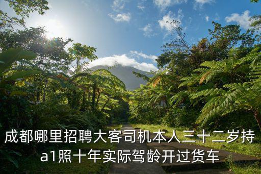成都哪里招聘大客司機本人三十二歲持a1照十年實際駕齡開過貨車