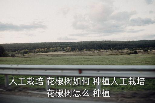 花椒樹的種植,春寒料峭夜還可在花椒園內點燃草煙形成煙幕