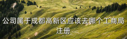 公司屬于成都高新區應該去哪個工商局注冊