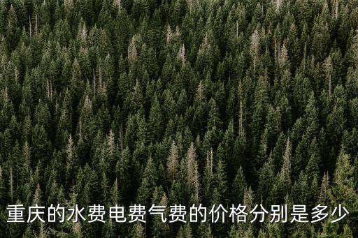 重慶的水費電費氣費的價格分別是多少