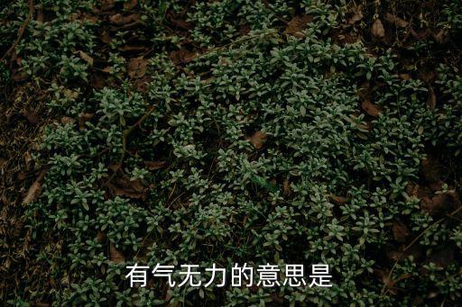 有氣無力的意思是