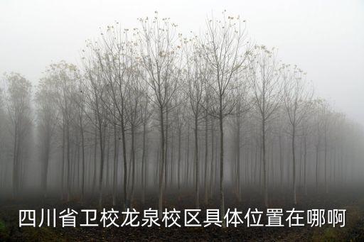 四川省成都市龍泉驛區省衛校，四川省衛校龍泉校區