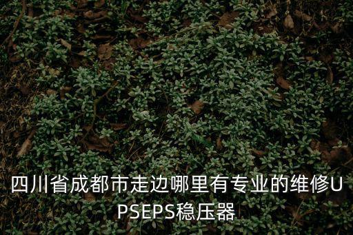四川省成都市走邊哪里有專業的維修UPSEPS穩壓器