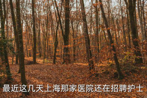 最近這幾天上海那家醫院還在招聘護士