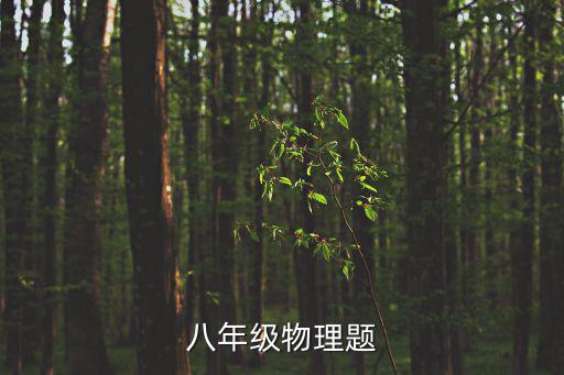 八年級物理試卷，初二物理習(xí)題