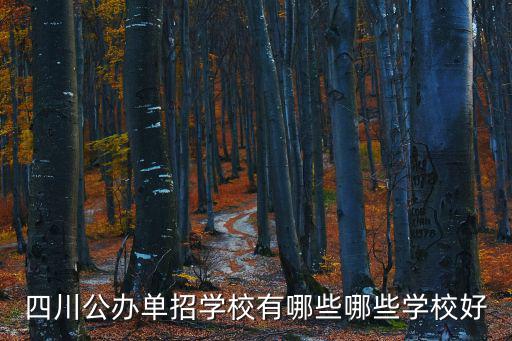 四川公辦單招學校有哪些哪些學校好