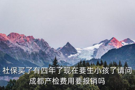 成都市孕期檢查費可以報銷嗎，孕檢的費用醫保可以報銷嗎