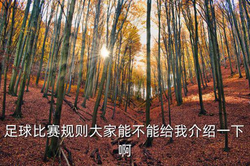 足球比賽規(guī)則大家能不能給我介紹一下啊