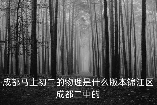 成都市錦江區(qū)九年級適應(yīng)性考試物理，成都馬上初二的物理是什么版本錦江區(qū)成都二中的