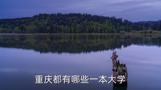 重慶都有哪些一本大學(xué)