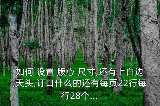如何 設置 版心 尺寸,還有上白邊,天頭,訂口什么的還有每頁22行每行28個...