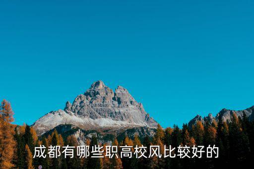 成都有哪些職高校風比較好的