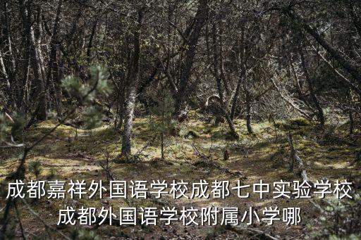 成都嘉祥外國語學校成都七中實驗學校成都外國語學校附屬小學哪