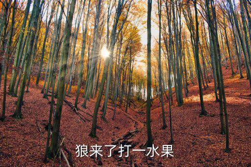 狼來了打一水果