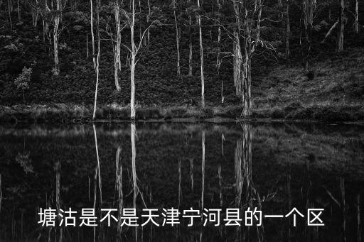 塘沽是不是天津寧河縣的一個區(qū)