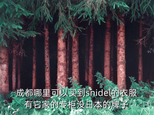成都哪里可以買(mǎi)到snidel的衣服有它家的專柜沒(méi)日本的牌子