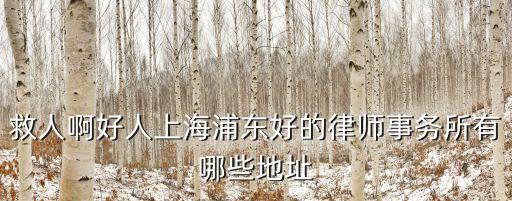 救人啊好人上海浦東好的律師事務所有哪些地址