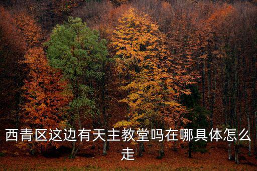 西青區這邊有天主教堂嗎在哪具體怎么走