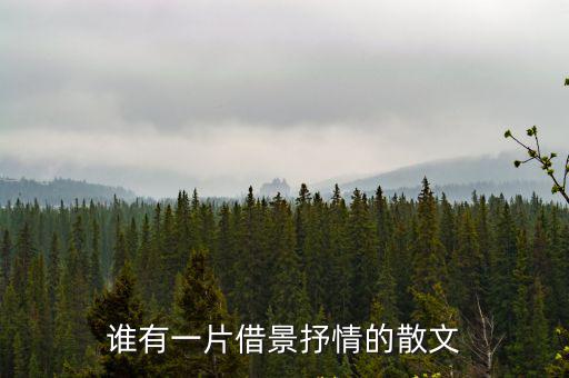 誰有一片借景抒情的散文