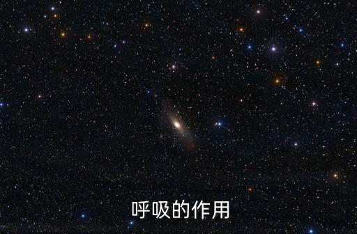  呼吸的作用