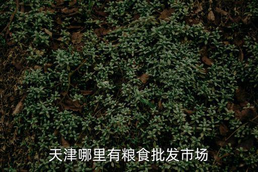 天津哪里有糧食批發市場