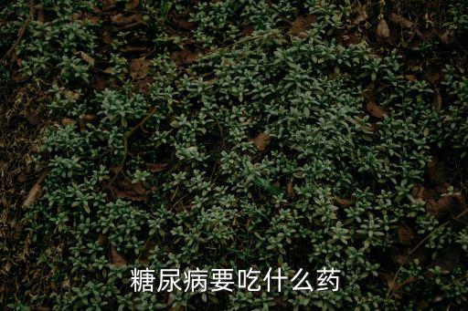  糖尿病要吃什么藥