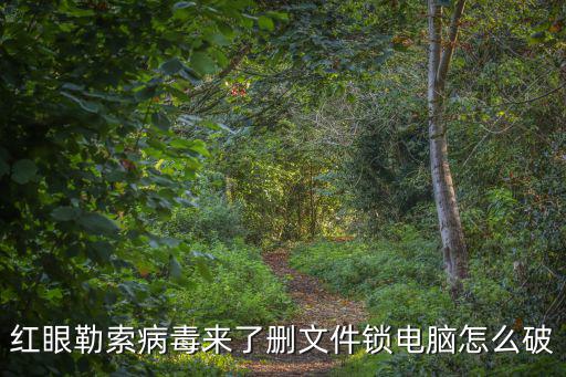 紅眼勒索病毒來了刪文件鎖電腦怎么破