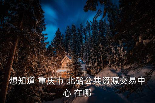 想知道 重慶市 北碚公共資源交易中心 在哪