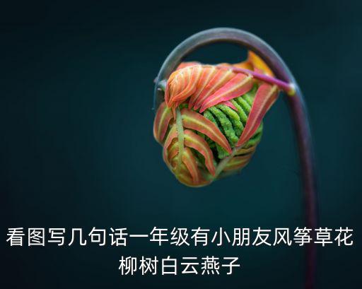 看圖寫幾句話一年級有小朋友風箏草花柳樹白云燕子