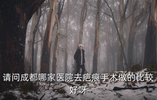 請問成都哪家醫院去疤痕手術做的比較好呀