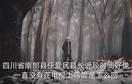 四川省南部縣任愛民縣長近段時間好像一直沒有在電視上露面是怎么回