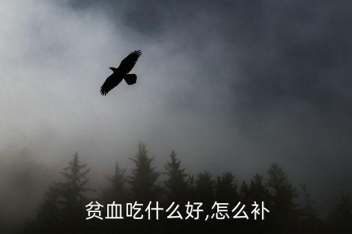 貧血食補吃什么好