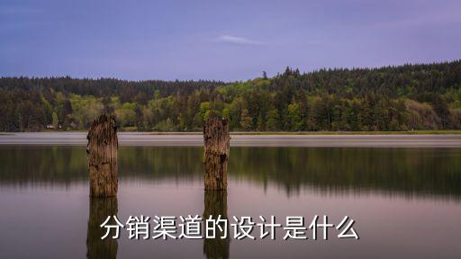 分銷渠道的設計是什么